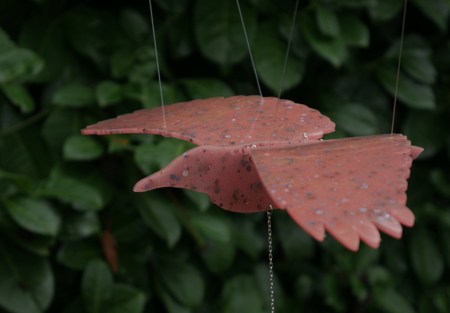 Flying Mobile - Ruddy Red Corvid
